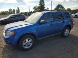 Ford Vehiculos salvage en venta: 2012 Ford Escape XLT