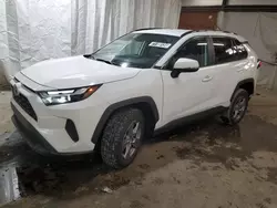 Toyota salvage cars for sale: 2024 Toyota Rav4 XLE