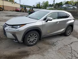 Lexus salvage cars for sale: 2019 Lexus NX 300 Base