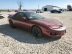 2000 Pontiac Firebird