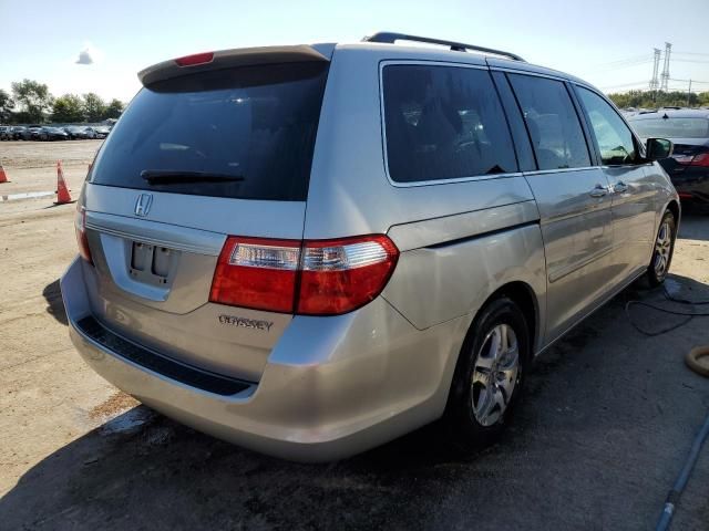 2005 Honda Odyssey EXL