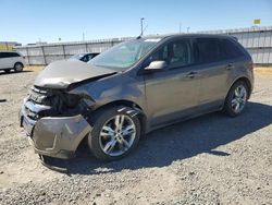 Ford salvage cars for sale: 2013 Ford Edge SEL