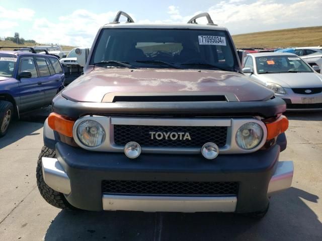 2007 Toyota FJ Cruiser