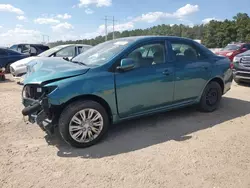 Toyota salvage cars for sale: 2010 Toyota Corolla Base