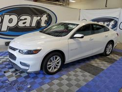 Salvage cars for sale at Lebanon, TN auction: 2018 Chevrolet Malibu LT