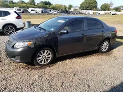 Salvage cars for sale at Hillsborough, NJ auction: 2010 Toyota Corolla Base