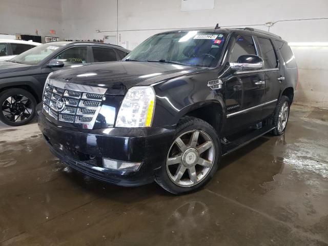 2011 Cadillac Escalade Premium