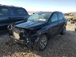 Salvage cars for sale at Magna, UT auction: 2023 KIA Seltos EX