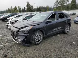 Ford Vehiculos salvage en venta: 2020 Ford Escape Titanium