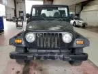 2002 Jeep Wrangler / TJ SE