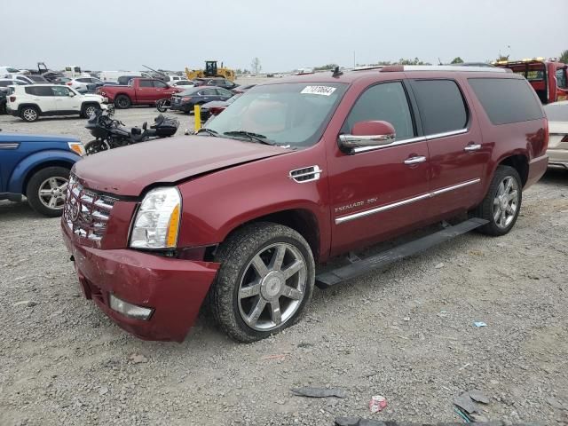 2010 Cadillac Escalade ESV Premium