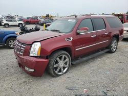 Cadillac salvage cars for sale: 2010 Cadillac Escalade ESV Premium