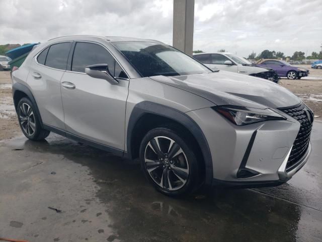 2019 Lexus UX 200