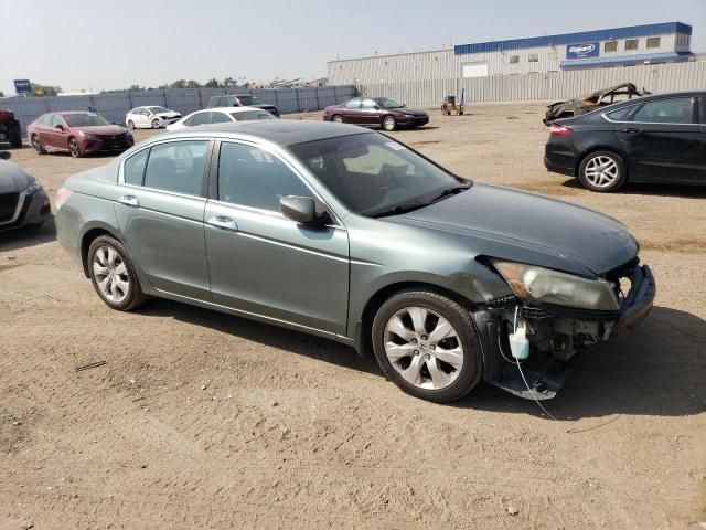 2008 Honda Accord EXL