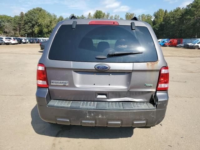 2011 Ford Escape XLT