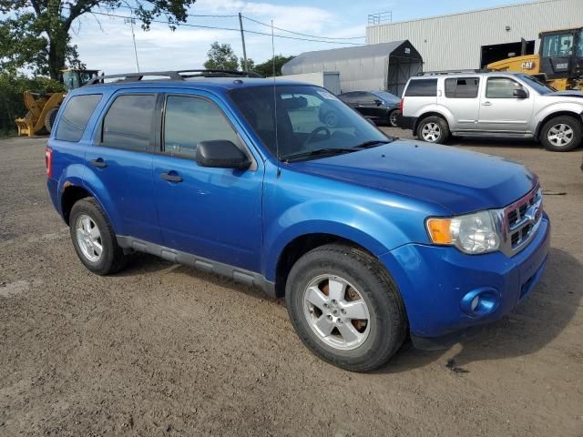 2012 Ford Escape XLT