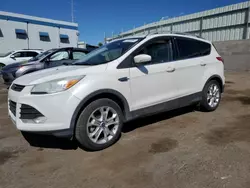 Salvage cars for sale from Copart Albuquerque, NM: 2015 Ford Escape Titanium