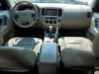 2005 Ford Escape XLT