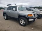 2010 Toyota FJ Cruiser