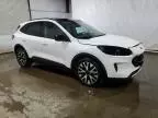 2020 Ford Escape SE Sport