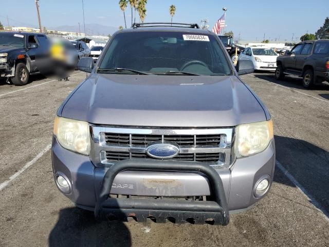 2008 Ford Escape XLT