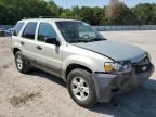 2006 Ford Escape XLT