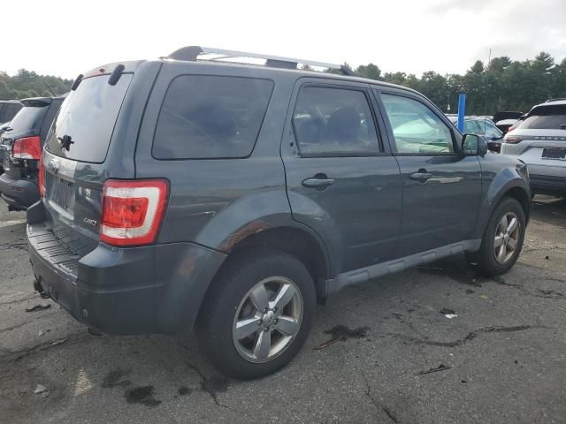 2009 Ford Escape Limited