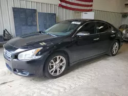 Salvage cars for sale at Conway, AR auction: 2012 Nissan Maxima S