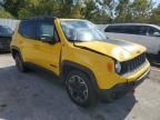 2015 Jeep Renegade Trailhawk