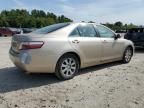 2007 Toyota Camry Hybrid