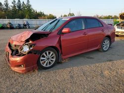 Salvage cars for sale from Copart Bowmanville, ON: 2010 Toyota Corolla Base