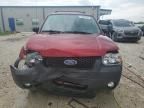 2007 Ford Escape XLT