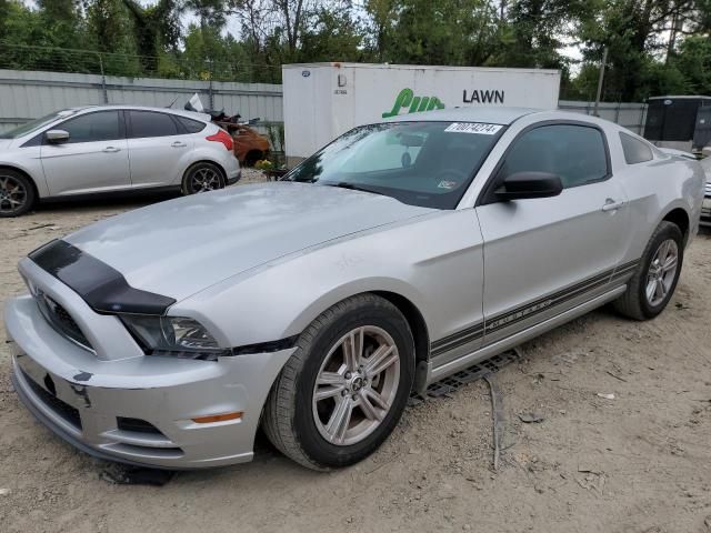 2013 Ford Mustang