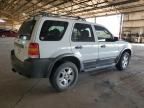 2006 Ford Escape XLT