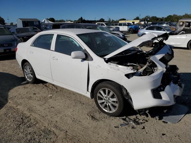 2010 Toyota Corolla Base