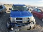 2007 Dodge Nitro SXT