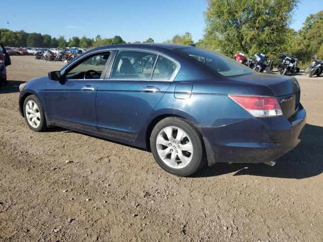 2010 Honda Accord EXL