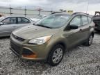 2013 Ford Escape S