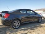 2005 Scion TC