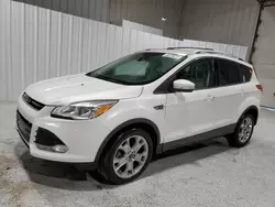 Salvage cars for sale at Corpus Christi, TX auction: 2014 Ford Escape Titanium