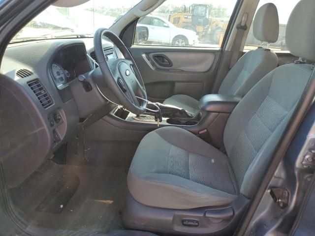 2005 Ford Escape XLT