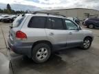 2006 Hyundai Santa FE GLS