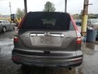 2010 Honda CR-V EXL