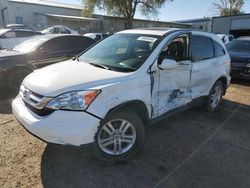 Salvage cars for sale at Albuquerque, NM auction: 2011 Honda CR-V EXL