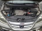 2005 Honda Odyssey EXL