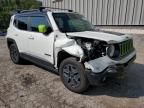 2017 Jeep Renegade Trailhawk