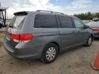 2008 Honda Odyssey EXL