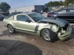 2005 Ford Mustang