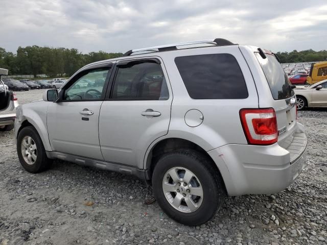 2010 Ford Escape Limited