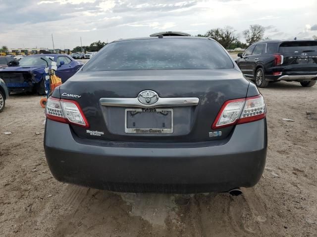 2011 Toyota Camry Hybrid